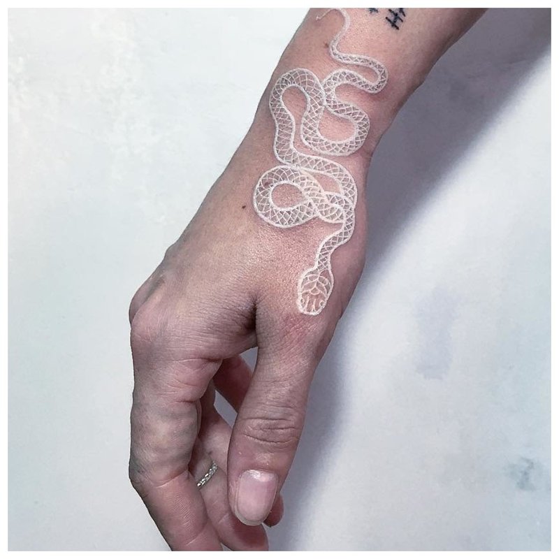 White snake on hand