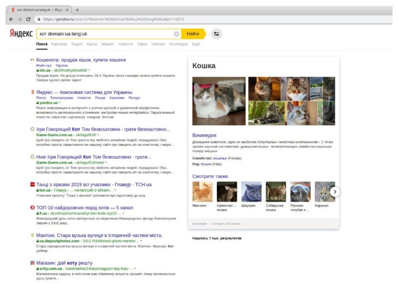 Yandex search