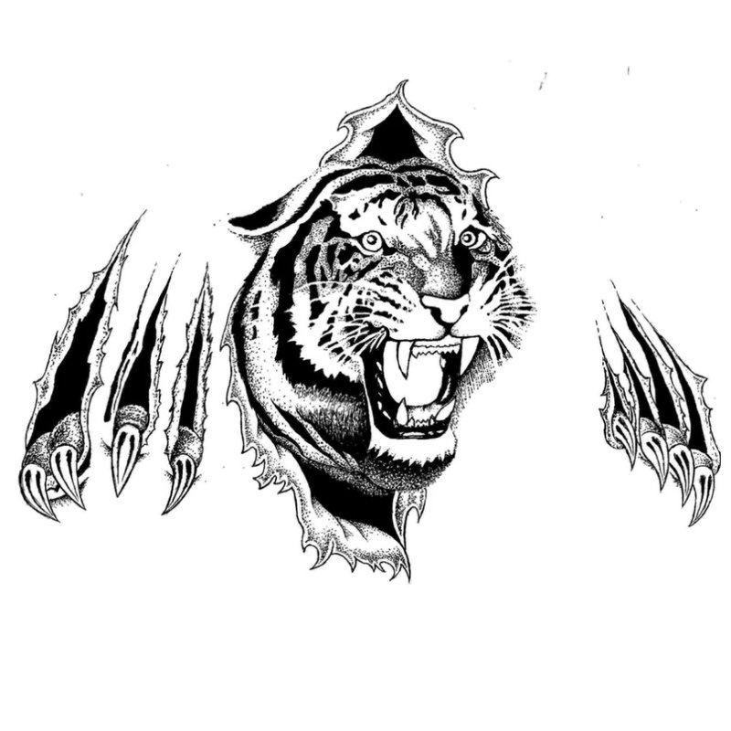 3D tiger with claw marks