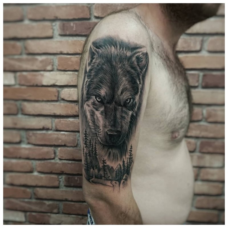 Wolf on a man’s shoulder - real tattoo