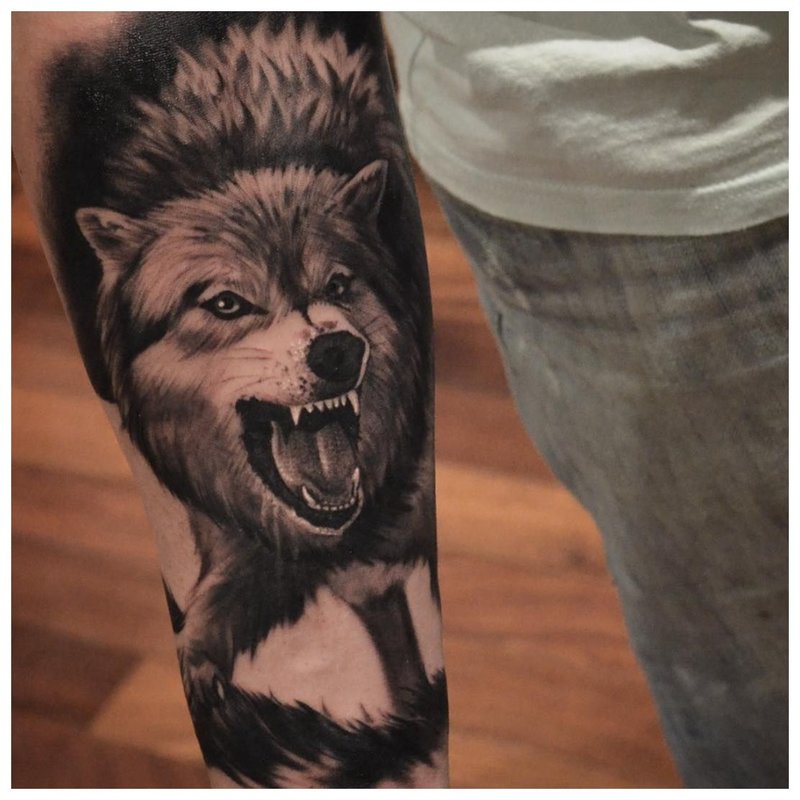 Wolf tattoo on a man’s hand