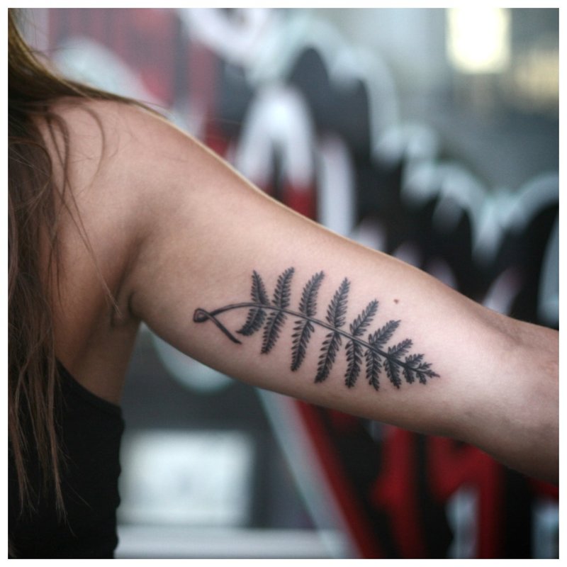 Twig - tattoo on the arm of a girl