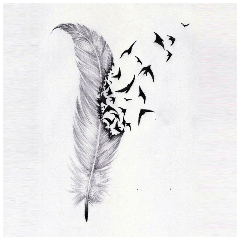 Feather - a beautiful sketch for a tattoo