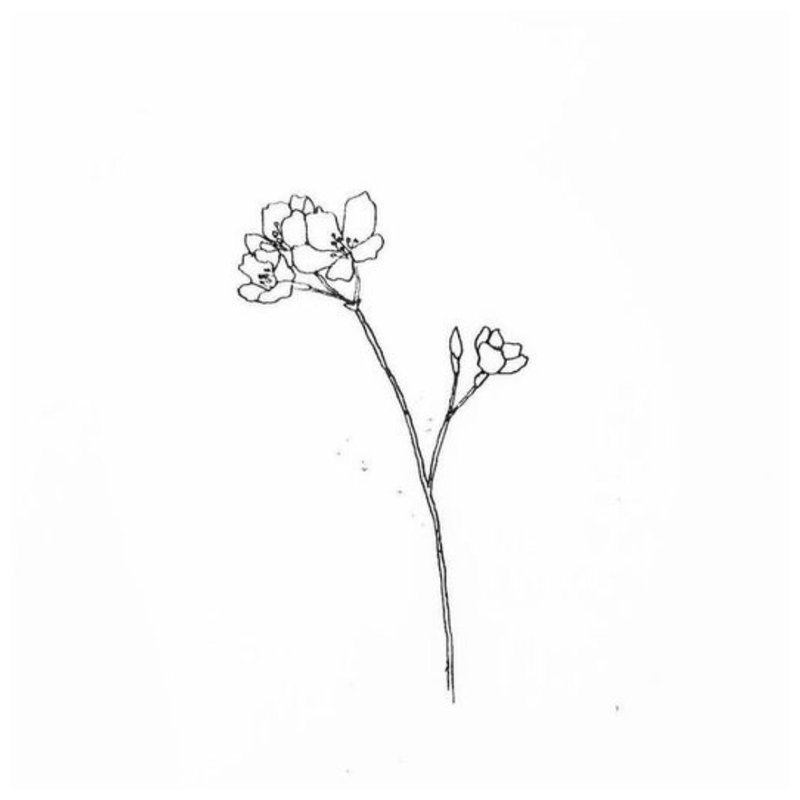 Flower - sketch for tattoo