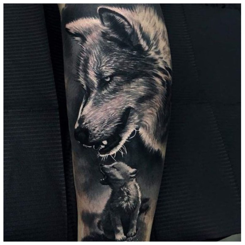 Male wolf tattoo