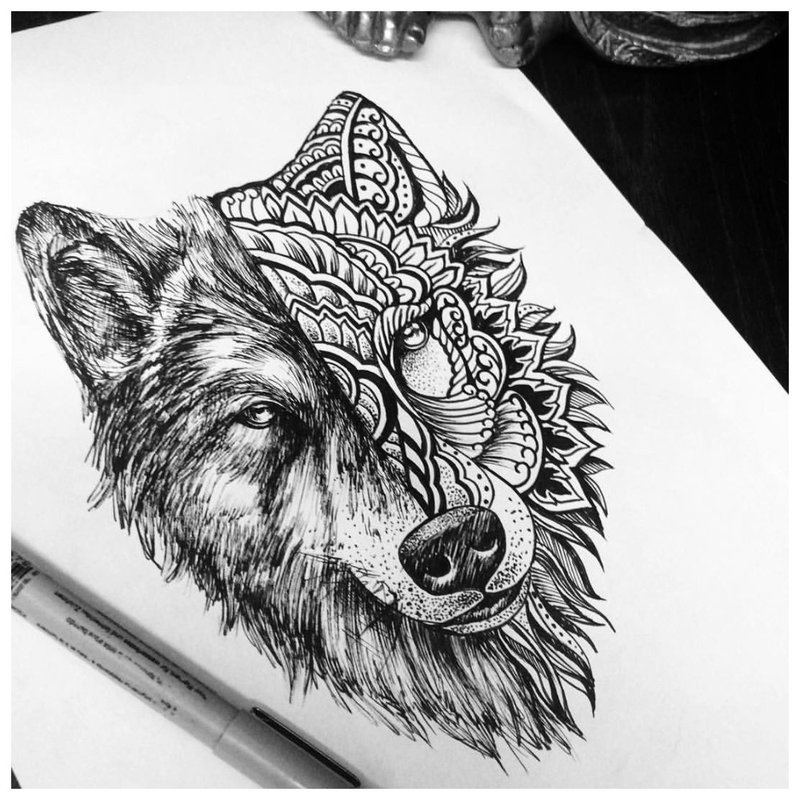 Sketch of a wolf in different styles