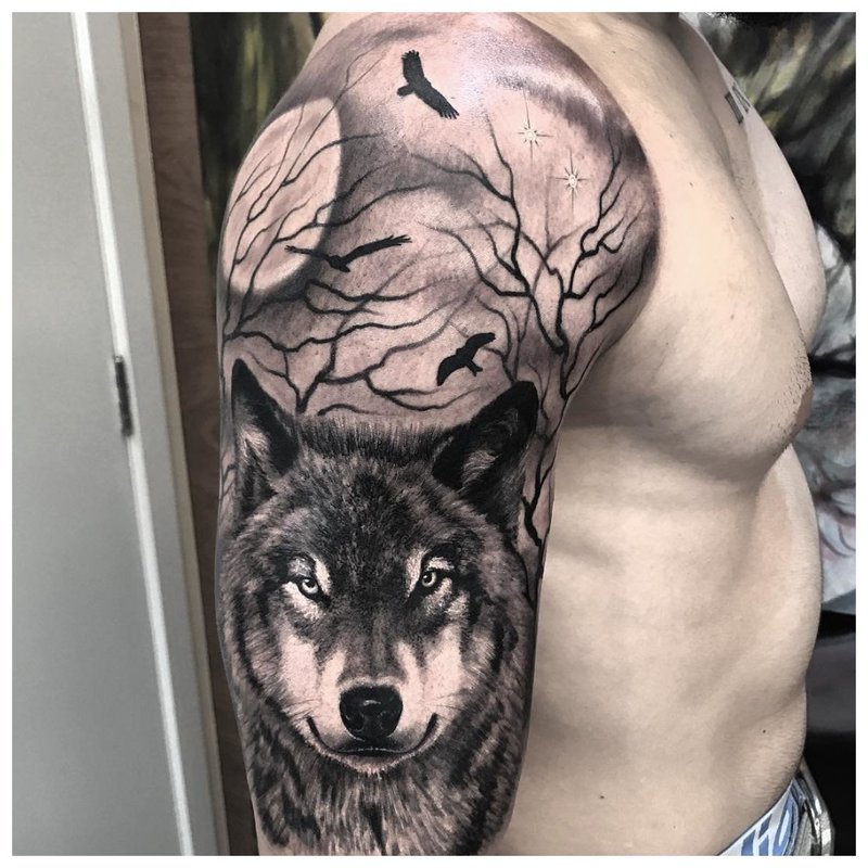 Realistic wolf - tattoo on the shoulder