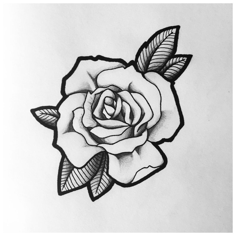 Rose - a beautiful sketch for a tattoo