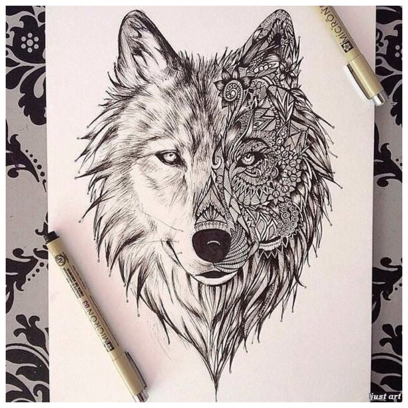 Wolf face - sketch for tattoo