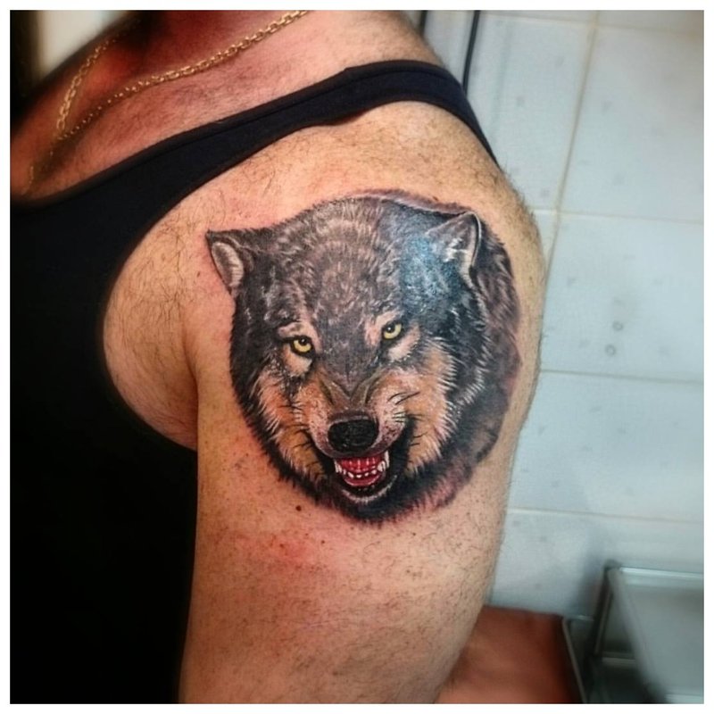 Grin of a wolf - tattoo on a man’s shoulder