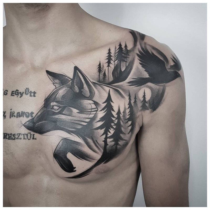 Wolf in the forest - tattoo on the chest of a man