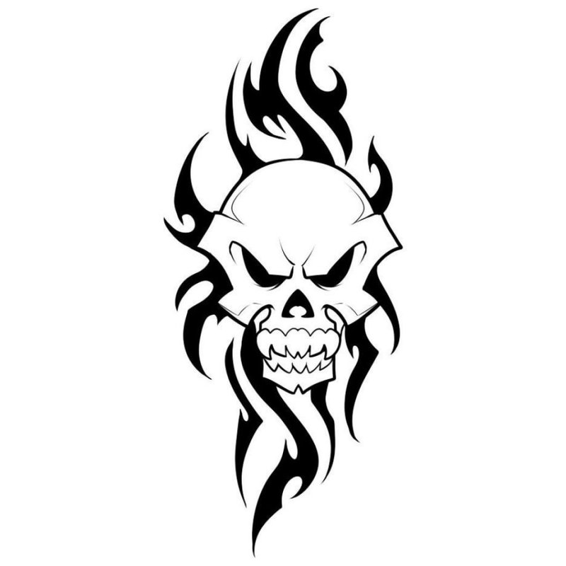 Skull - sketch for tattoo