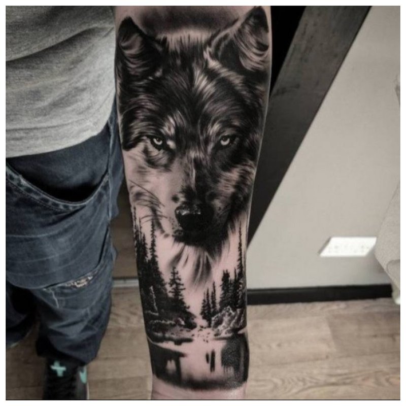 Wolf face - tattoo on the arm