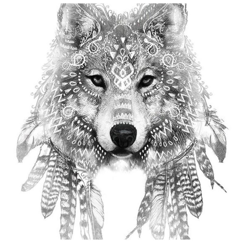 Beautiful wise wolf