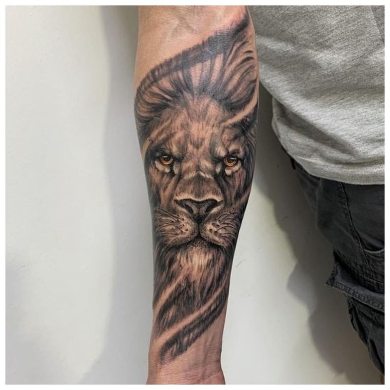 Lion - tattoo on a man’s arm