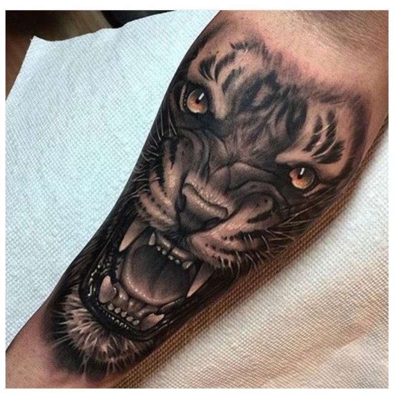 Animal tattoo on a man's forearm