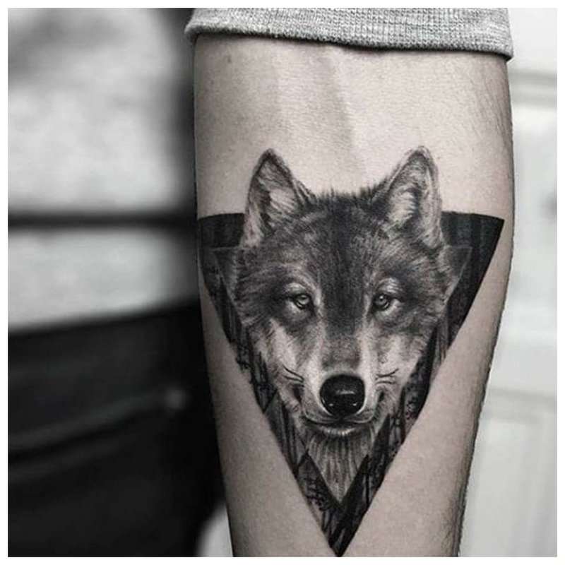 Wolf's eye - tattoo on a man’s hand