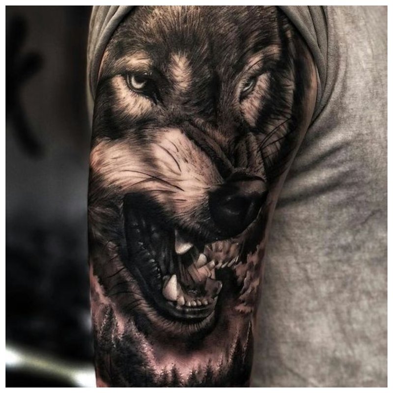 Aggressive wolf - male tattoo