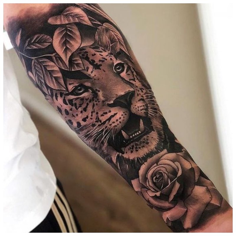 Lion - male tattoo