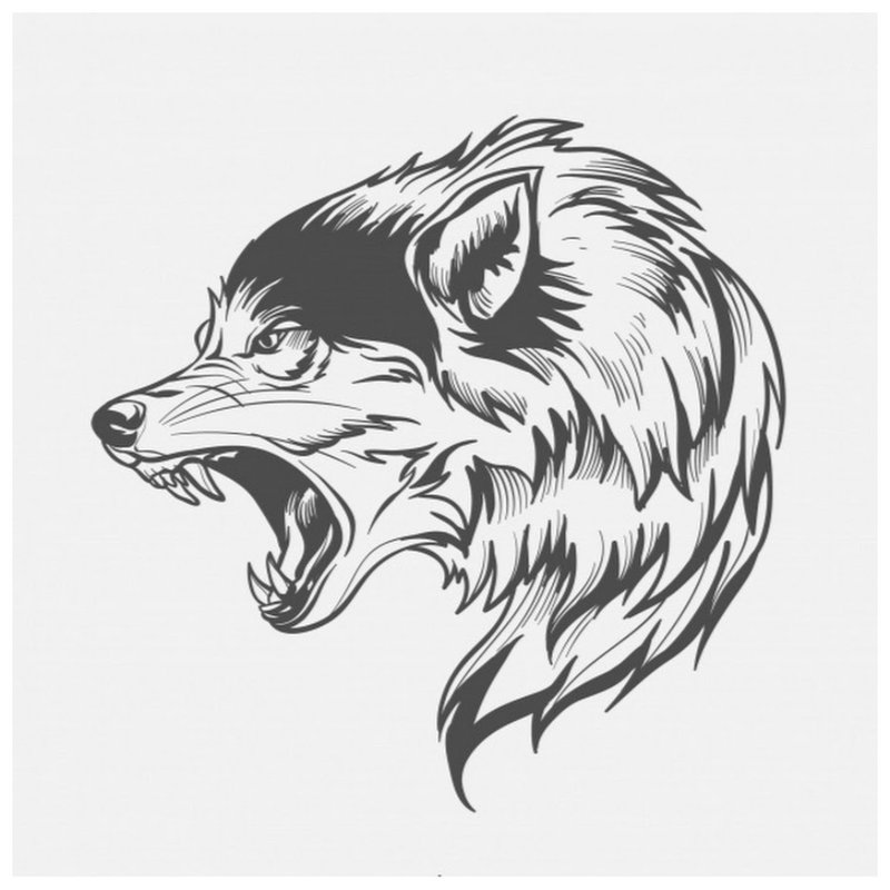 Wolf - sketch for tattoo