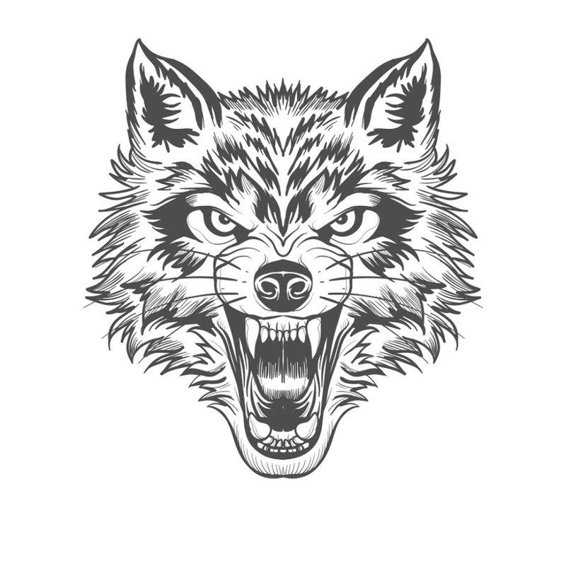 Angry wolf - sketch for tattoo