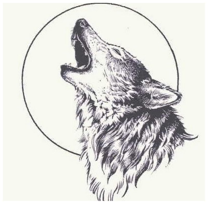 Wolf howls at the moon - sketch for tattoo