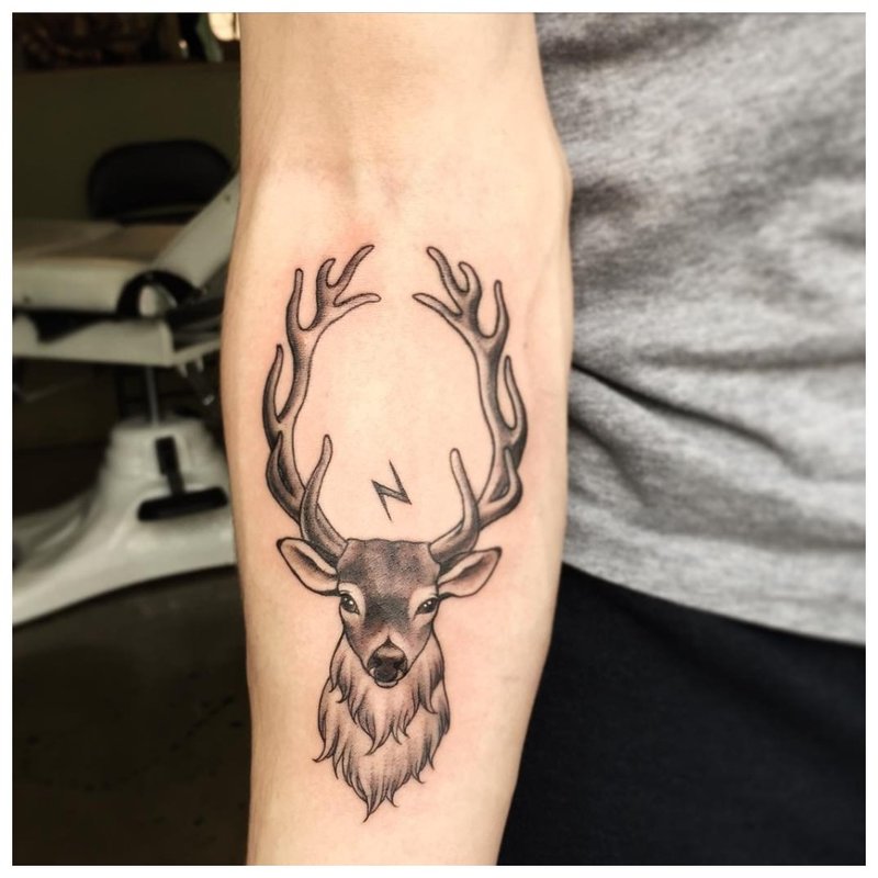 Animal theme tattoo on the forearm