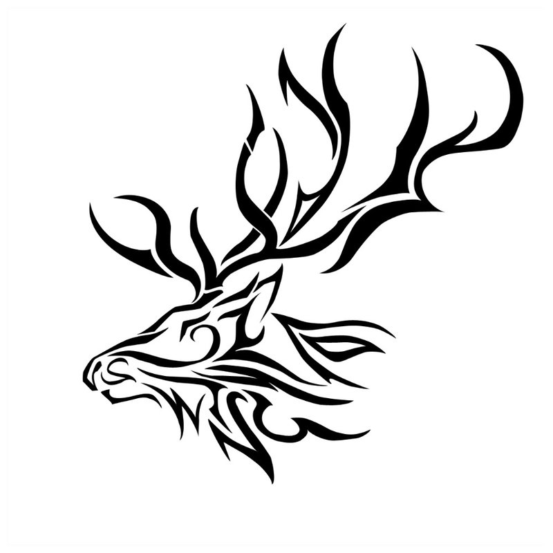 Deer tattoo sketch