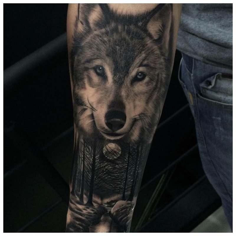 Wolf face - tattoo on a man’s arm