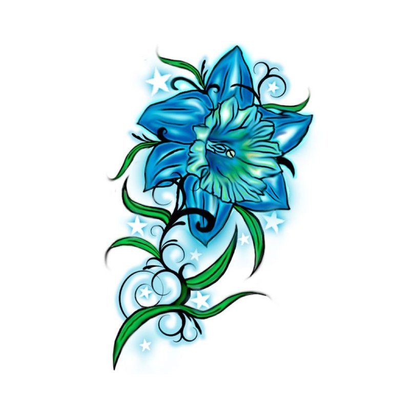 Color sketch blue lily