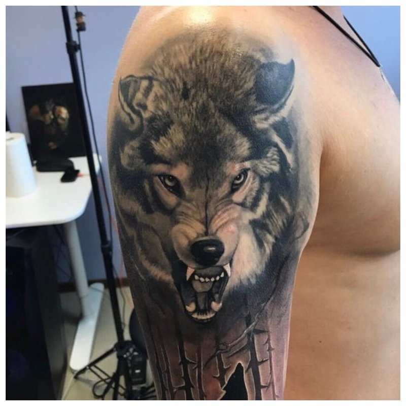 Grin of a wolf - tattoo to man