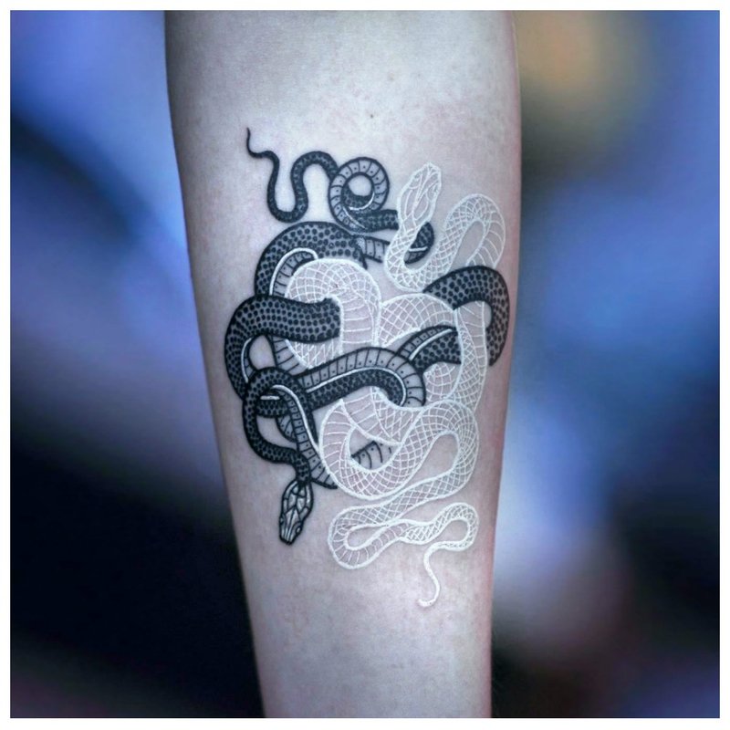 Tattoo with two snakes