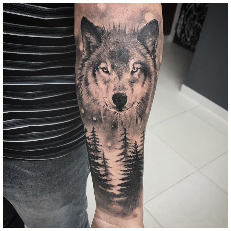 Wolf in the forest - tattoo on a man’s arm