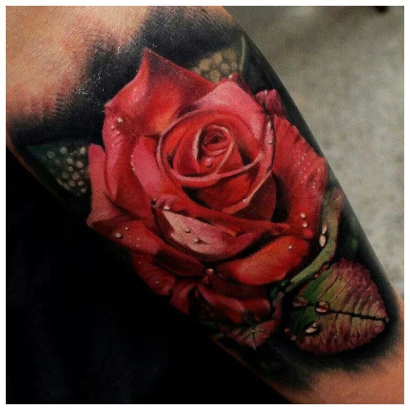 Realism rose