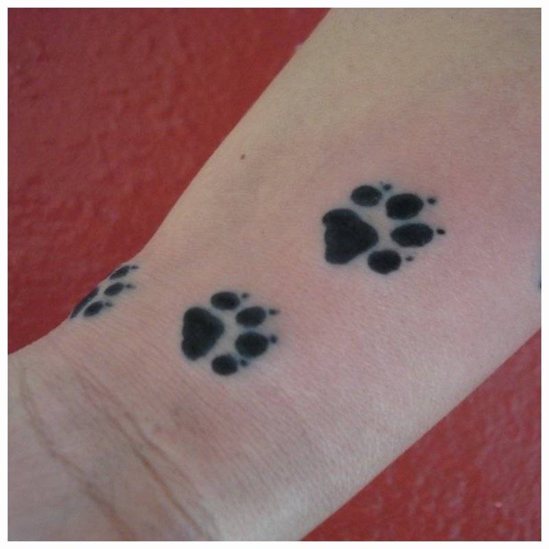 Paws of an animal tattoo