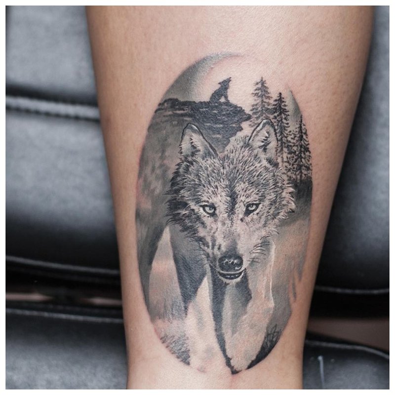 Wolf tattoo on a man’s calf