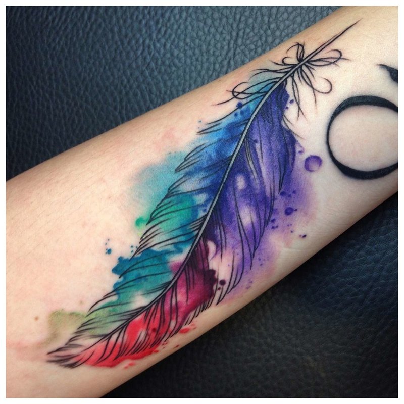 Feather in watercolor style