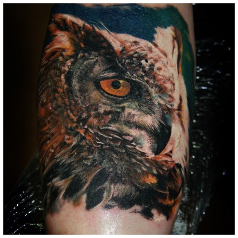 Realistic Owl