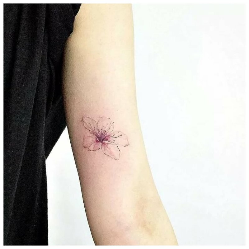 Minimalistic flower on hand