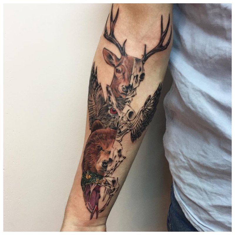 Animal tattoo on a man's forearm