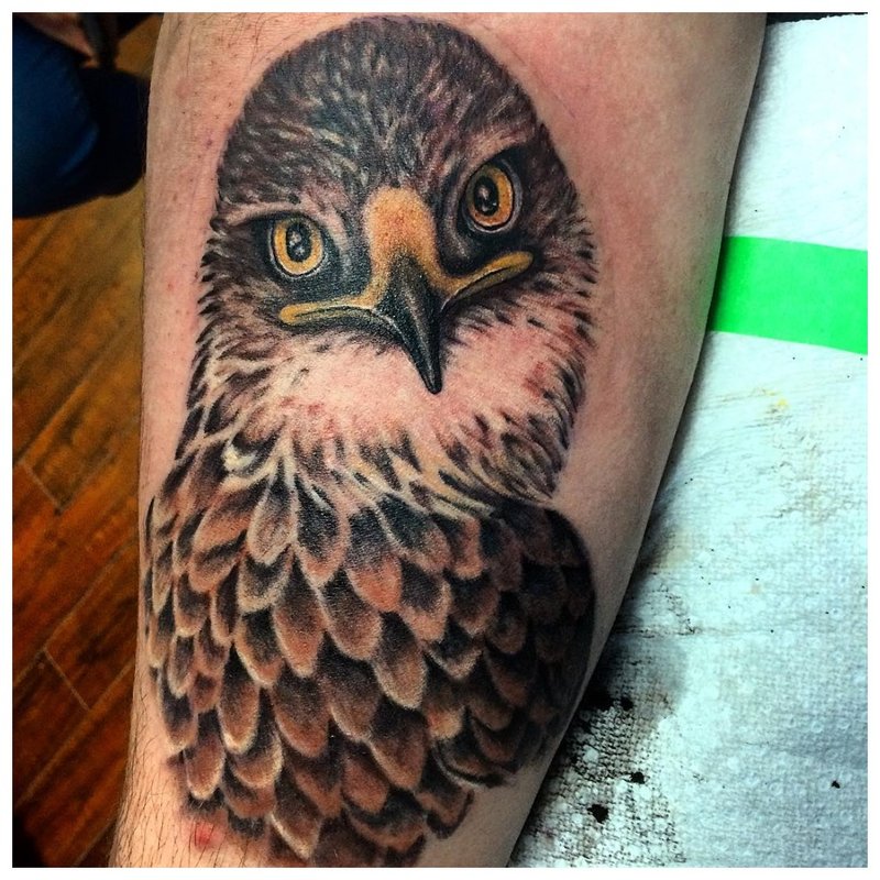 Bird forearm tattoo on men