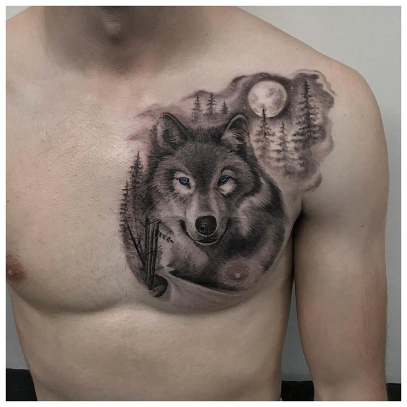 Calm wolf - tattoo on the chest of a man