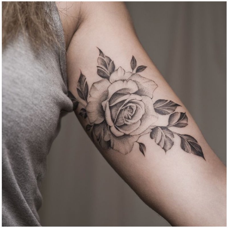 Rose on the inside of the forearm