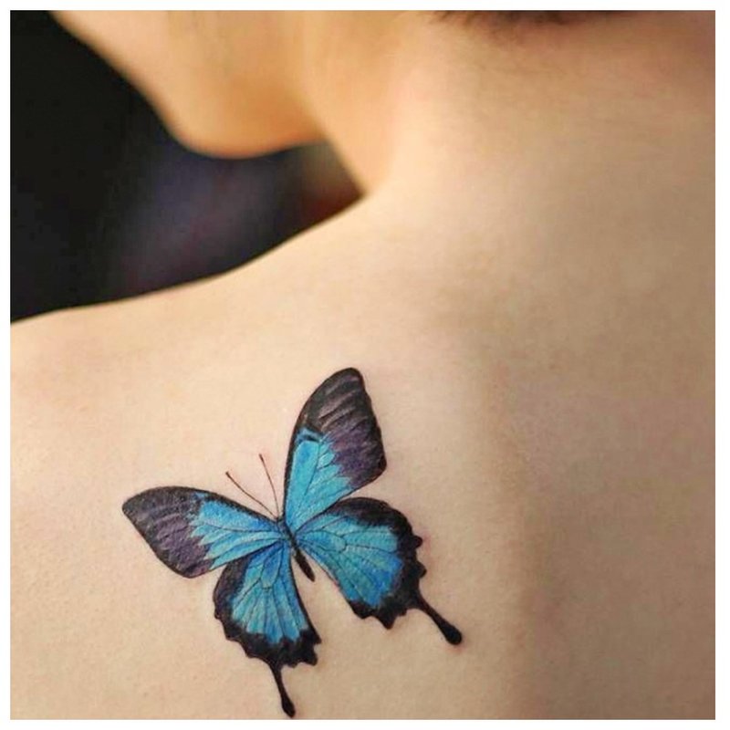 Butterfly on the shoulder