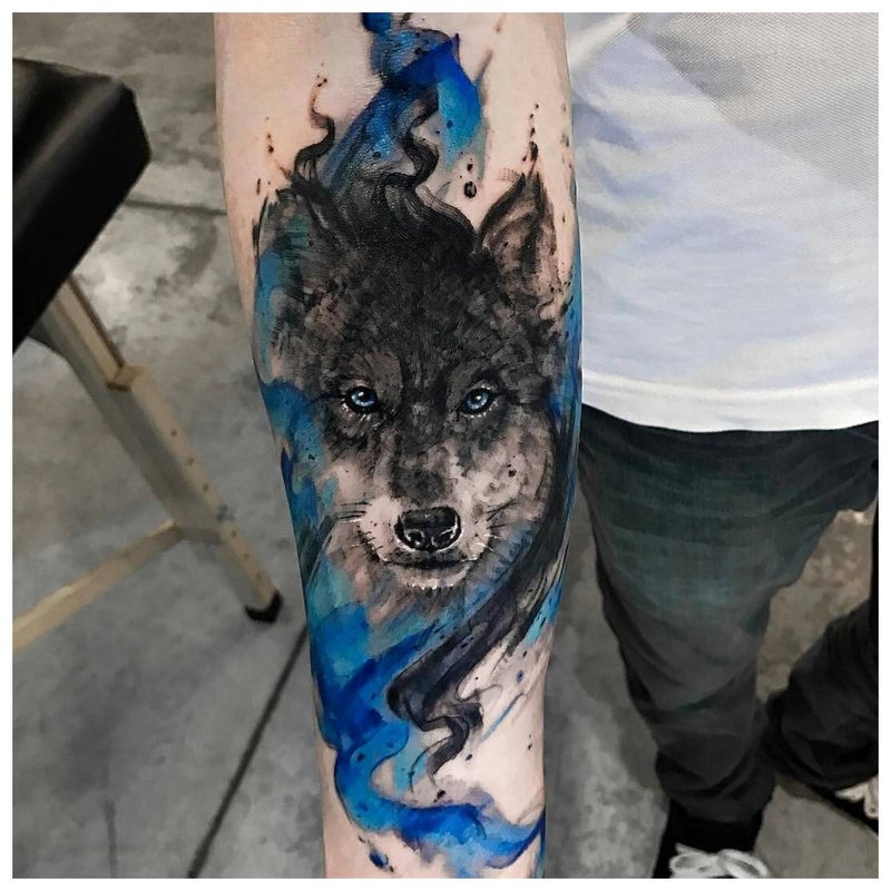 Wolf in color style - arm tattoo