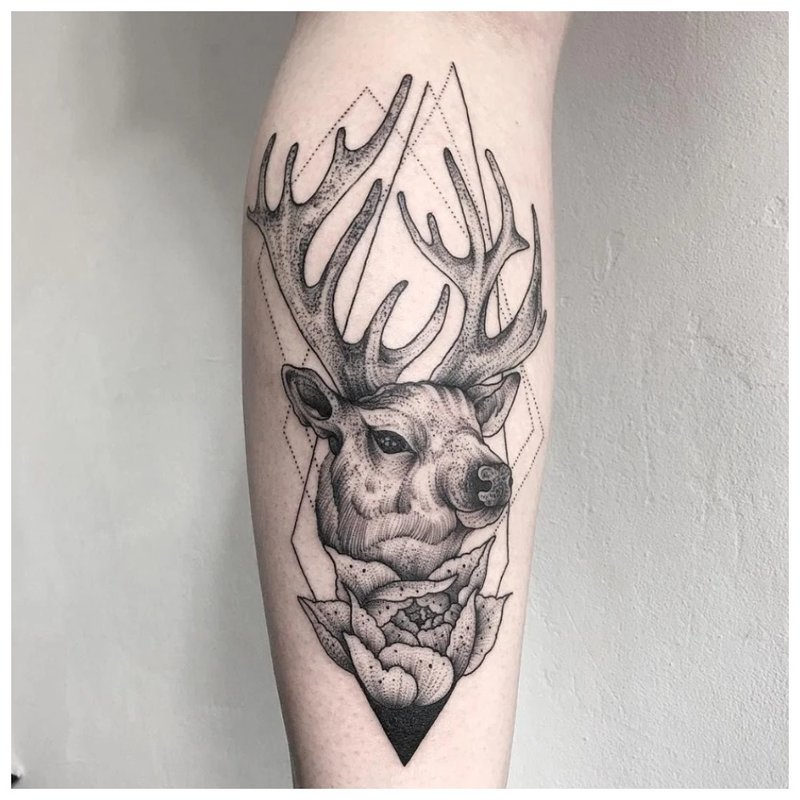 Deer using linework technique