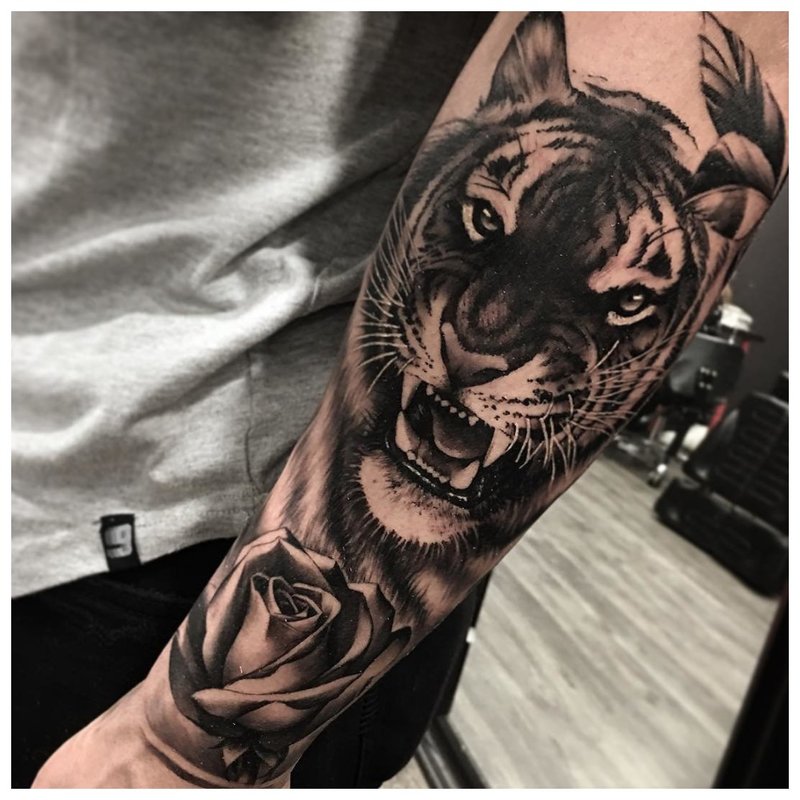 Animal tattoo on a man's forearm