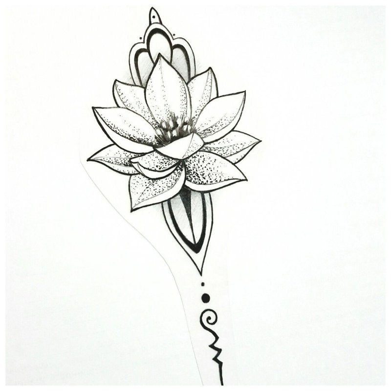 Close-up sketch lotus