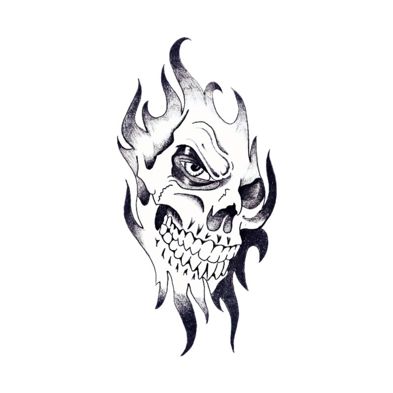 Skull - sketch for tattoo