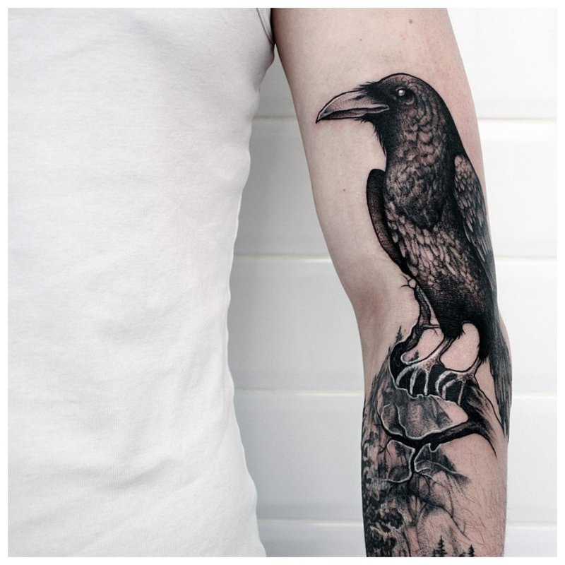 Bird forearm tattoo on men